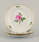 Meissen, Germany, three plates hand painted with flowers and gold