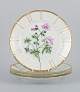 Bing and Grøndahl, four porcelain plates in Flora Danica style with gold 
decoration.