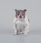 Bing & Grøndahl, sjælden porcelænsfigur af engelsk bulldog.