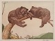 Louis Moe (1857–1945), well listed Norwegian artist. Color etching on Japanese 
paper. Opus 51 "Siesta". Two resting brown bears in a tree.