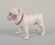 Bing & Grøndahl, porcelænsfigur af Bulldog.