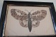 Gammel opsætning af Sommerfugl i original ramme
Lavet af sommerfugle-vinger
Ca. 21,5cm x 16cm