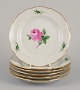 Meissen, 
Tyskland.
Seks ”Pink 
Rose” 
tallerkner.