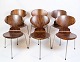 Set Of 6 Dining Chairs - Model 3101 - Ant - Rosewood - Rare - Arne Jacobsen - 
Fritz Hansen - 1950s
Great condition
