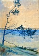 Pegasus – Kunst - Antik - Design præsenterer: Vogel-Jørgensen, Eva (1901 - 1988) Danmark: Et fyrretræ ved havet.