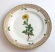 Royal Copenhagen, Flora Danica. Kage tallerken. Design #3552. Diameter 14 cm. (1 
sortering). Potentilla vahliana Lehm