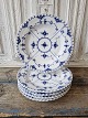 Royal 
Copenhagen 
Musselmalet 
helblonde 
middagstallerken 
...
