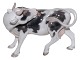 Large Bing & Grondahl figurine
Cow licking its side