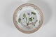 Stari Antik 
presents: 
Royal 
Copenhagen
Flora Danica
Plate 20/3573
Ø 19 cm