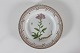 Stari Antik 
præsenterer: 
Royal 
Copenhagen
Flora Danica
Middagstallerken 
3549 
Ø 25 cm
