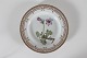 Stari Antik 
præsenterer: 
Royal 
Copenhagen
Flora Danica
Middagstallerken 
3549 
Ø 25 cm
