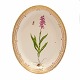 Royal 
Copenhagen 
Flora Danica 
stort ovalt fad 
#3518. ...