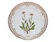 Flora Danica
Frokosttallerken 
 22 cm. #3572