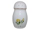 Antik K 
presents: 
Aconite
Rare sugar 
shaker