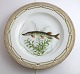 Lundin Antique 
presents: 
Royal 
Copenhagen. 
Fauna Danica. 
Fish Plate. 
Dinner plate. 
Model # 19 - 
3549. Diameter 
...