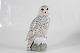 Stari Antik presents: Royal CopenhagenSnowy owl no. 1829