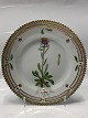 Antik Huset 
presents: 
Flora 
Danica
Cake plate 17 
cm. #617
"Erigeron 
uniflorus L.".