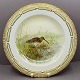 Royal Copenhagen, Flora Danica Animal; Dinnerplate 25,5 cm No. 3549