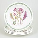 Portmeirion England, set of 4 dinner plates.