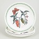 Portmeirion England, set of 4 lunch plates.