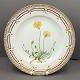 Antik Damgaard-Lauritsen presents: Royal Copenhagen, Flora Danica; Dinnerplate 25,5 cm. No 3549