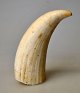 Pegasus – Kunst - Antik - Design presents: Greenland sperm whale tooth, 20th century.