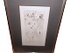 Antik K presents: Hans Bellmer etchingErotic anatomy study from the 1960s