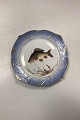 Danam Antik presents: Royal Copenhagen Blue Fish Set Plate No. 19/3002