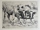 Ole Buus Larsen præsenterer: Radering af Johannes Resen-Steenstrup - To kalve 1903.