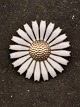 Middelfart Antik presents: Anton Michelsen vintage sterling silver daisy