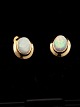 Middelfart Antik presents: 14 carat gold earrings with opal