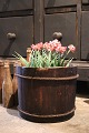 K&Co. presents: Swedish 19th century wooden container with old original color...