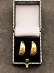 Middelfart Antik presents: 14 carat gold earrings