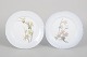 L'Art presents: Royal Copenhagen, pair of Art Nouveau plates.