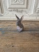 Karstens Antik presents: Royal Copenhagen figure - rabbit no. 1019