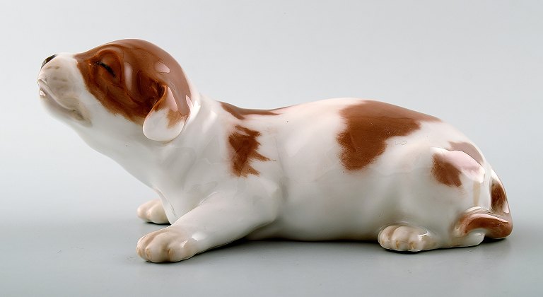 Royal Copenhagen Dog Figurine number 1204 Basset puppy.
