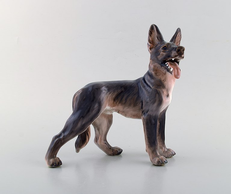 Dahl Jensen porcelænsfigur. Schæferhund. Modelnummer 1087. 1. Sortering. 
1930