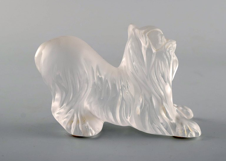 Lalique hund i matteret kunstglas. 1980