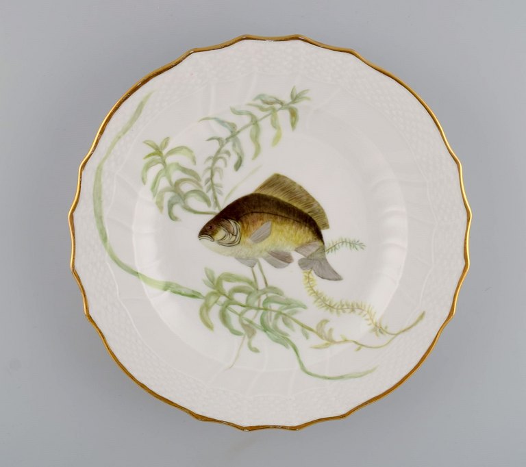 Royal Copenhagen middagstallerken i porcelæn med håndmalet fiskemotiv og 
guldkant. Flora / Fauna Danica stil. Dateret 1960.
