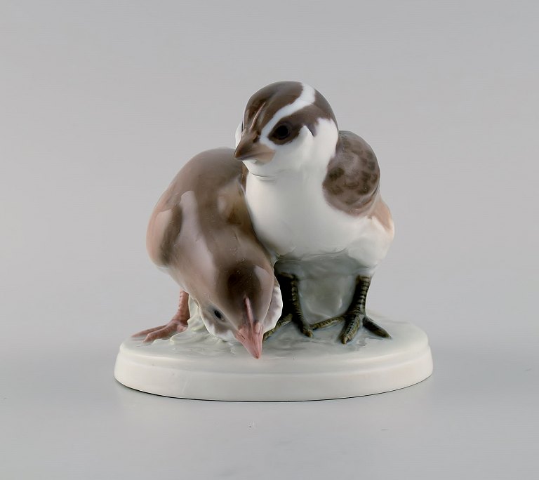 Sjælden Bing & Grøndahl porcelænsfigur. To fugle. Modelnummer 1778. Tidligt 
1900-tallet.
