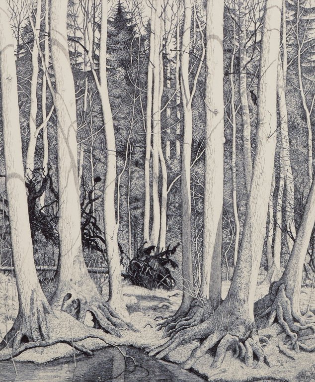 Eva Holmén-Edling (1942), Swedish artist. Woodcut on Japan paper. Forest scene.