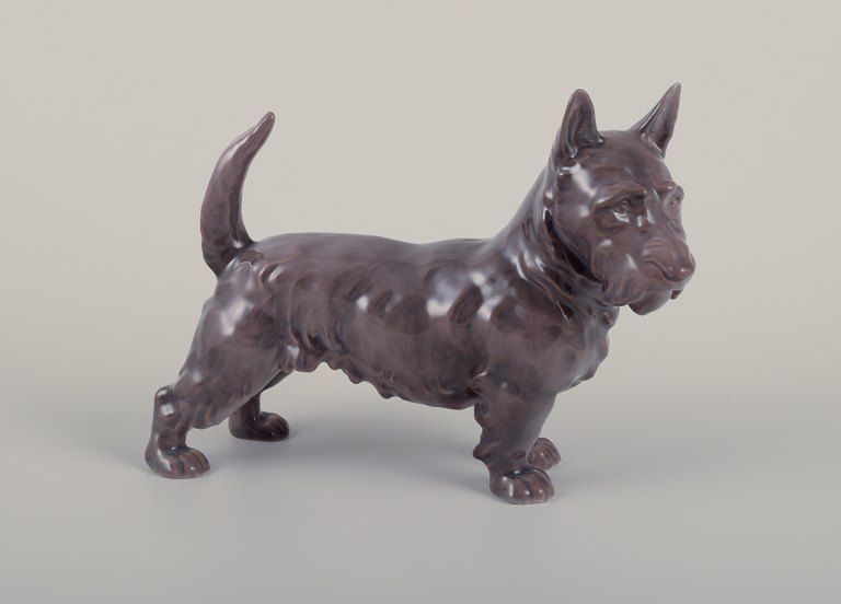 Bing & Grøndahl, porcelain figurine of a Scottish Terrier.