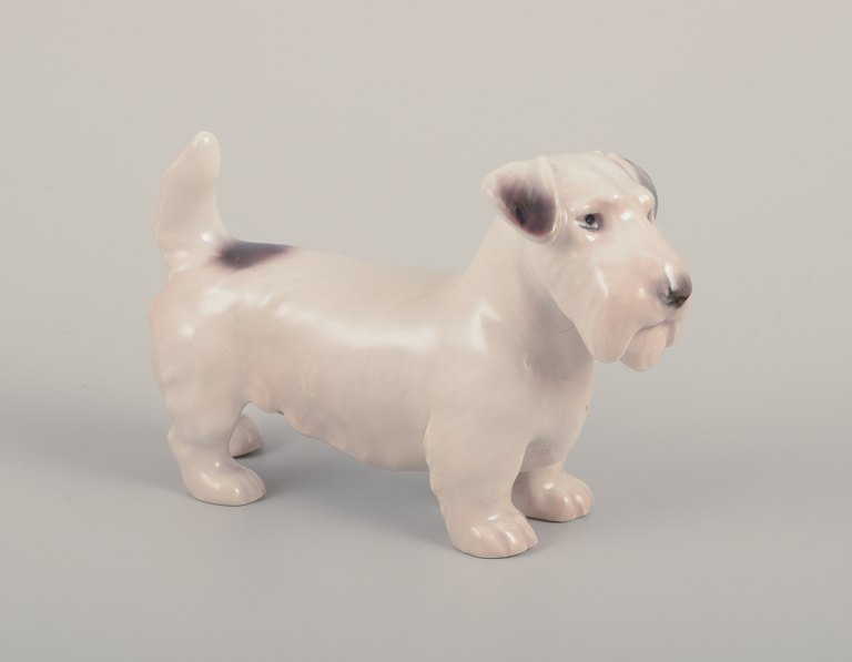 Bing & Grøndahl, lille porcelænsfigur af sealyham terrier.