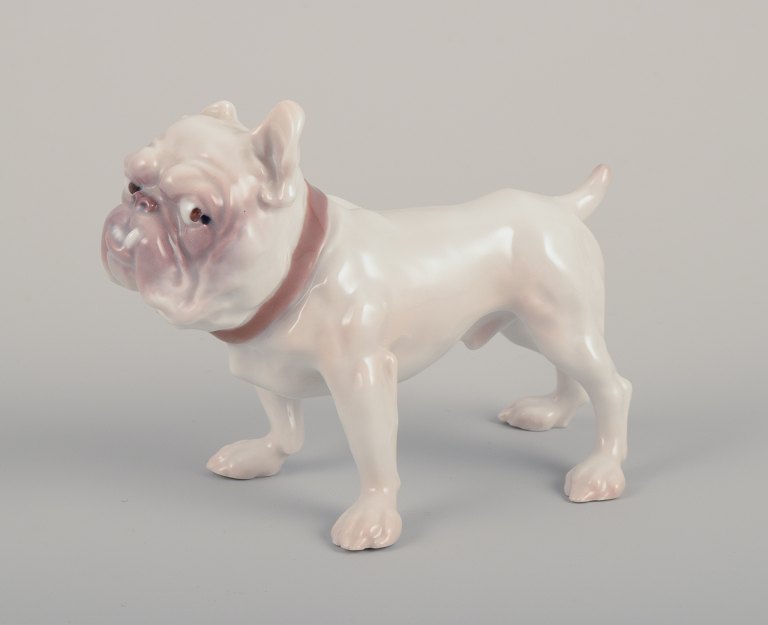 Bing & Grøndahl, porcelænsfigur af Bulldog.